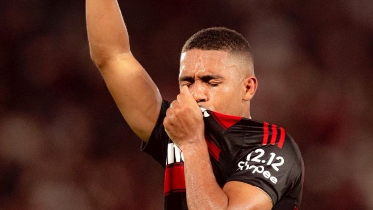 Flamengo se Corona Campeón de Brasil Tras Ganar la Libertadores