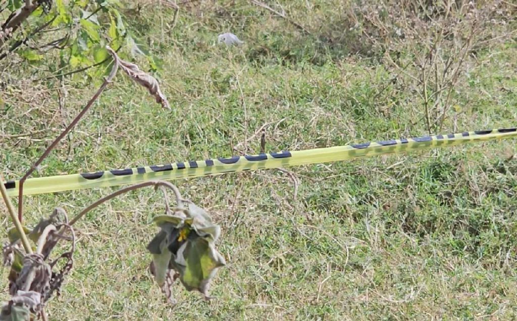 Restos humanos descubiertos en fosa clandestina en Tlajomulco: un índice alarmante de actividad delictiva