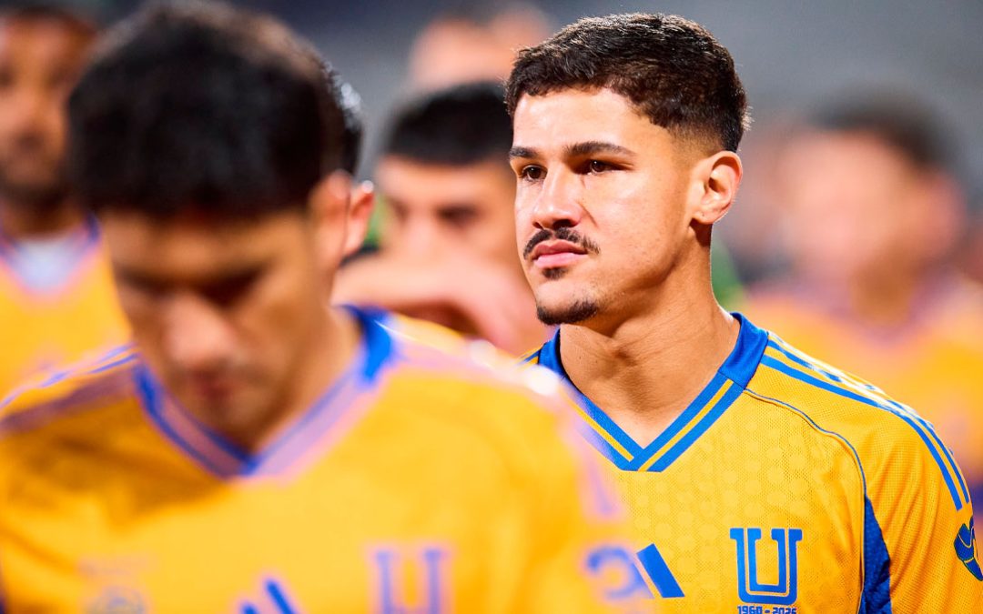 Actividad Volcana Rómulo: Desafíos y Prevención en Tiempos de Emergencia