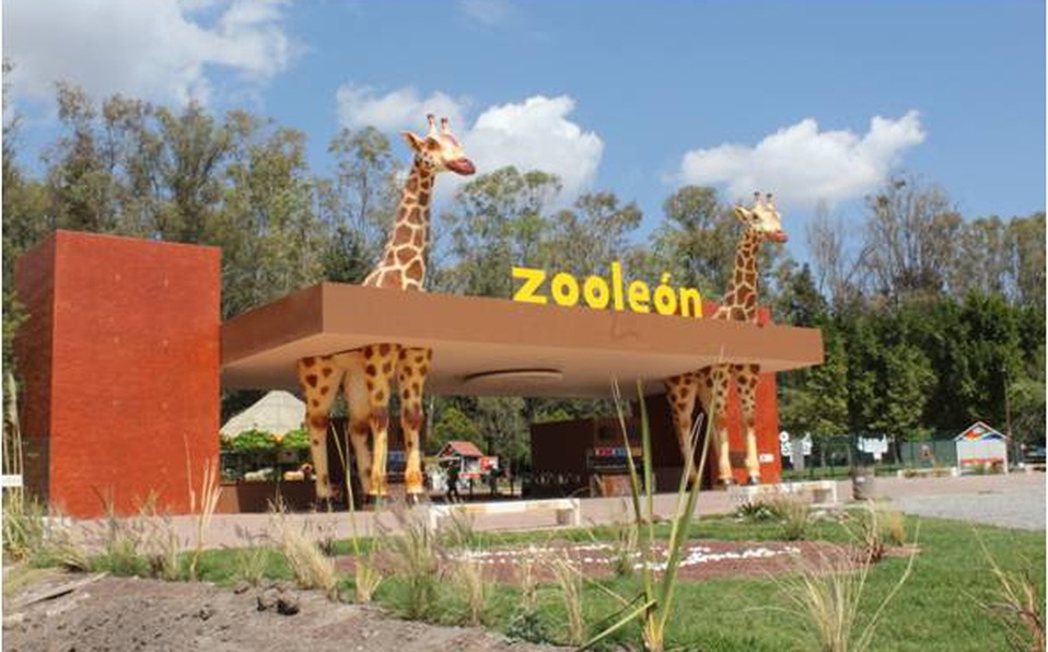 Zoológico de León Refuerza Seguridad Policial Tras la Muerte de 24 Borregos