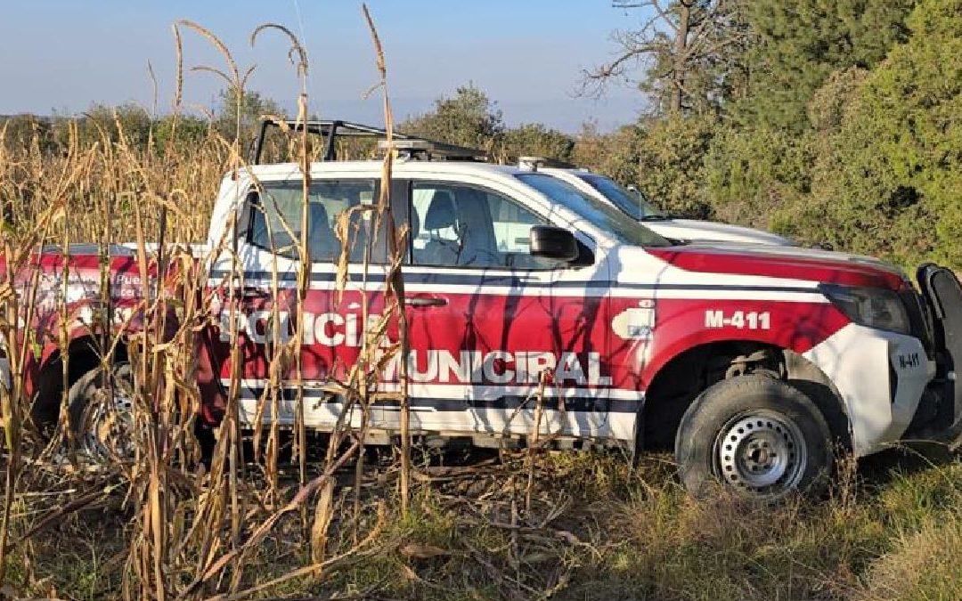 Asesinato en Nopalucan: Seis hombres pierden la vida en un crimen relacionado con el narcotráfico