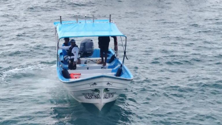 Trágico accidente marítimo en Puerto Vallarta: Mujer estadunidense muere al chocar con una ballena