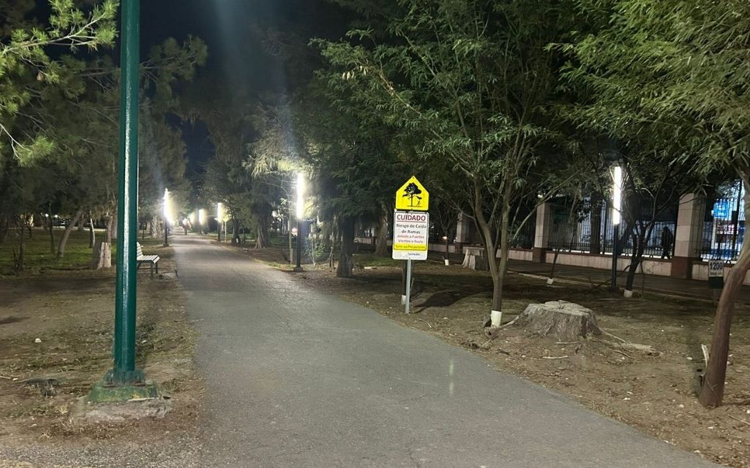 Inversión de Seis Millones de Pesos para Mejorar el Bosque Venustiano Carranza