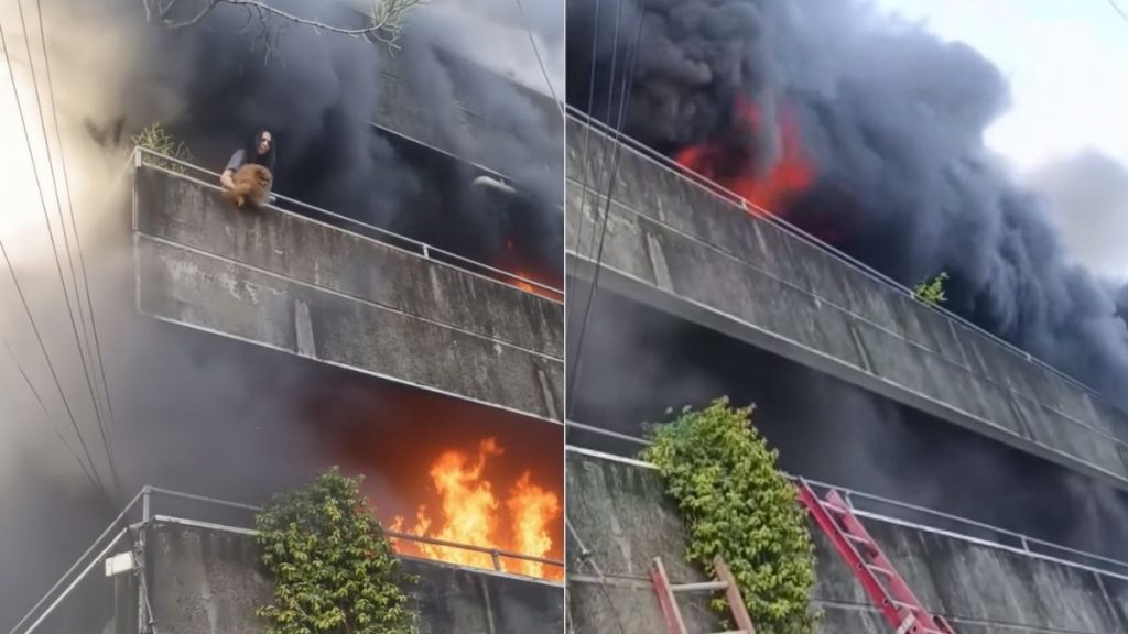 Valiente mujer arriesga su vida en un incendio para salvar a sus perritos