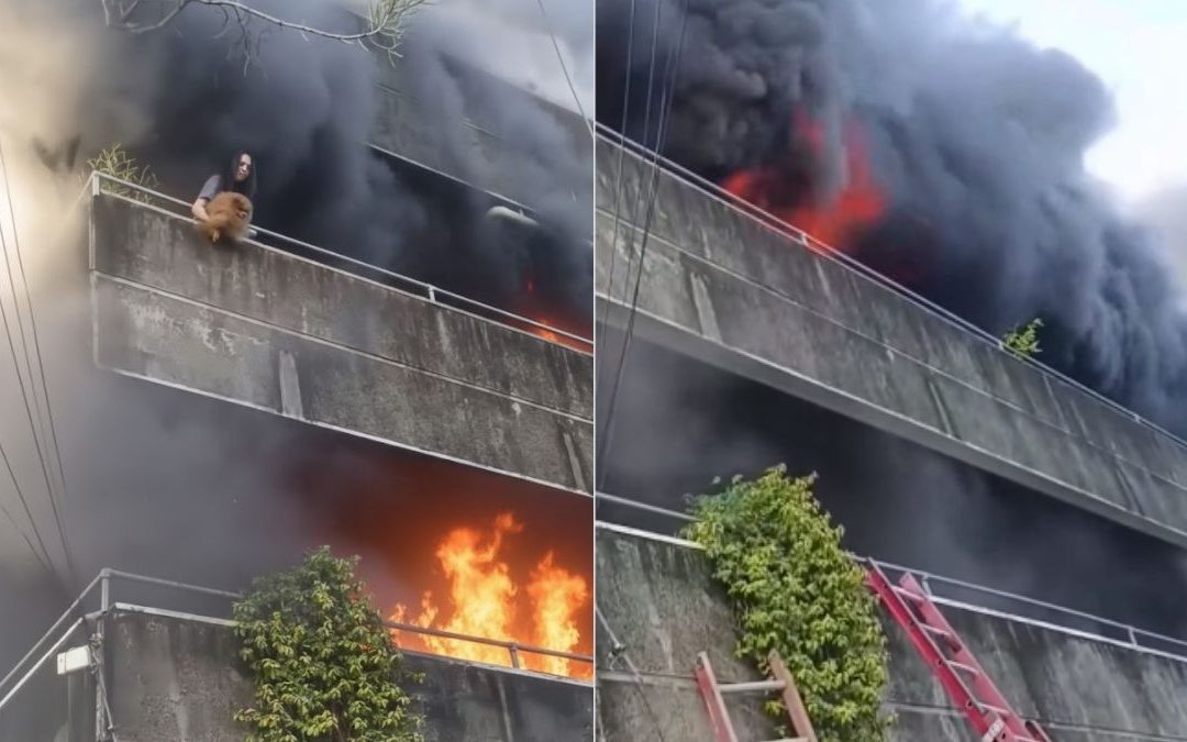 Valiente mujer arriesga su vida en un incendio para salvar a sus perritos