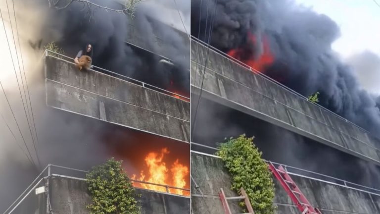 Valiente mujer arriesga su vida en un incendio para salvar a sus perritos
