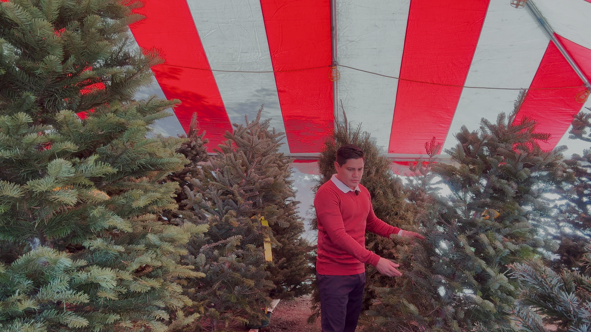 El Aumento de Precios Navideños Afecta a las Familias en EE.UU.: Cómo Adaptarse