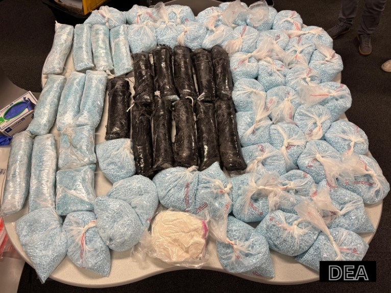 Advertencia en Colorado: Carfentanil, la droga más letal que el fentanilo