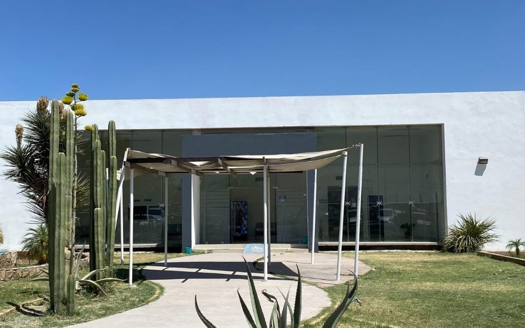 Olor a putrefacción en Villa Nazareno: Alarma e Investigación en Lerdo