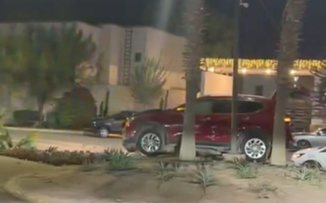 Accidente de tráfico en Viñedos: Conductor derriba palma y abandona camioneta