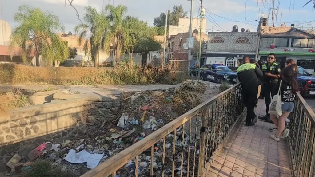 Madres Buscadoras Hallan Cráneo y Restos Humanos en Tonalá: Un Llamado a la Justicia
