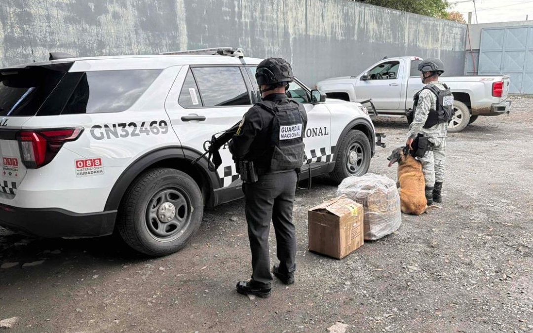 Sedena Realiza Decomiso de 51 Kilos de Pirotecnia y 55 Mil Litros de Diesel en Nuevo León