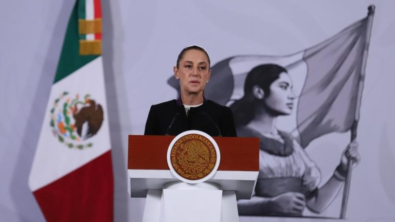 Investigación sobre la Falla Técnica en el Desplome de Aeronave en Toluca: Declara Sheinbaum