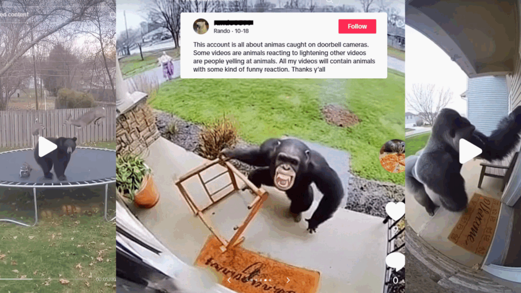 Zoológico del Condado de Sedgwick advierte sobre el peligro del contenido generado por inteligencia artificial