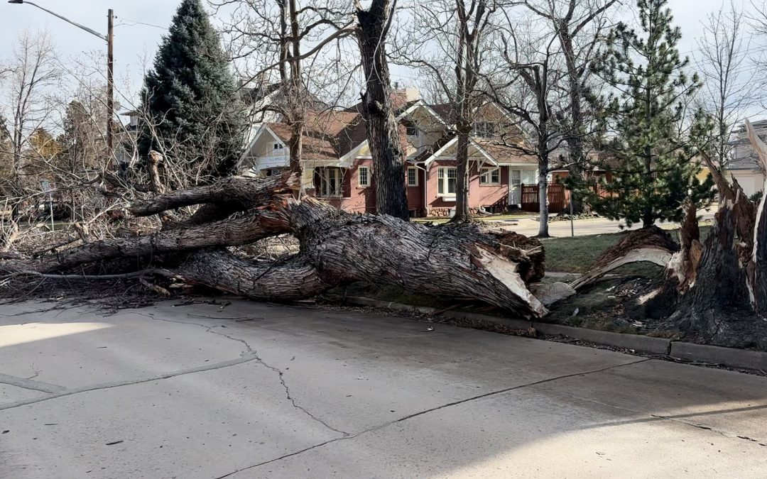 Vientos Fuertes en Colorado: Precauciones Clave para la Seguridad de la Comunidad