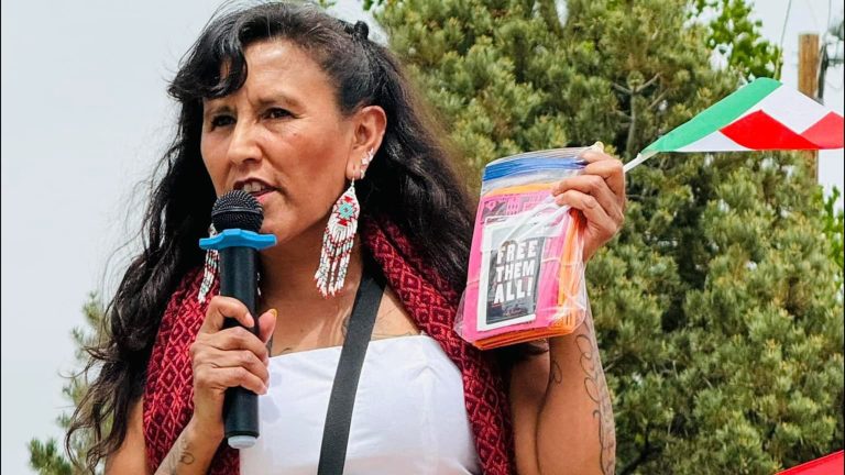 Audiencia de Fianza para Jeanette Vizguerra: Lo Último sobre la Activista de Inmigración