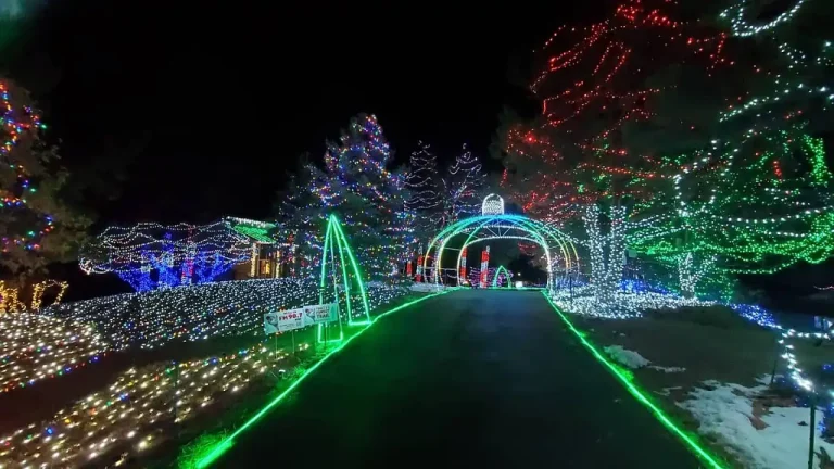 Festival de Luces en Franktown: Cierre Anticipado por Multitudes Récord