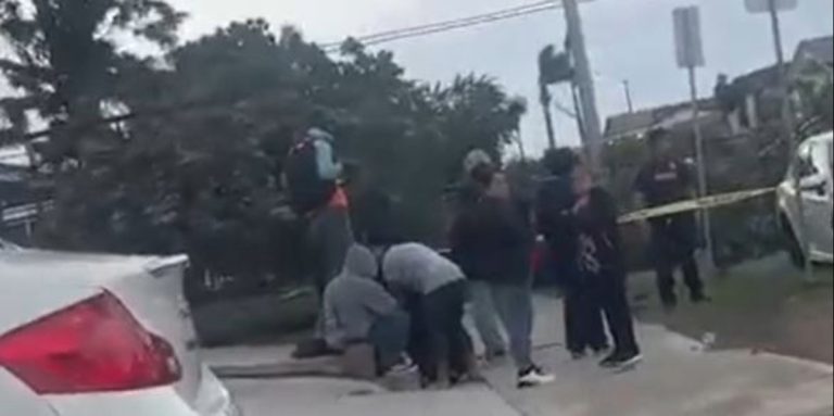 Trágica muerte por caída de árbol en City Heights, San Diego