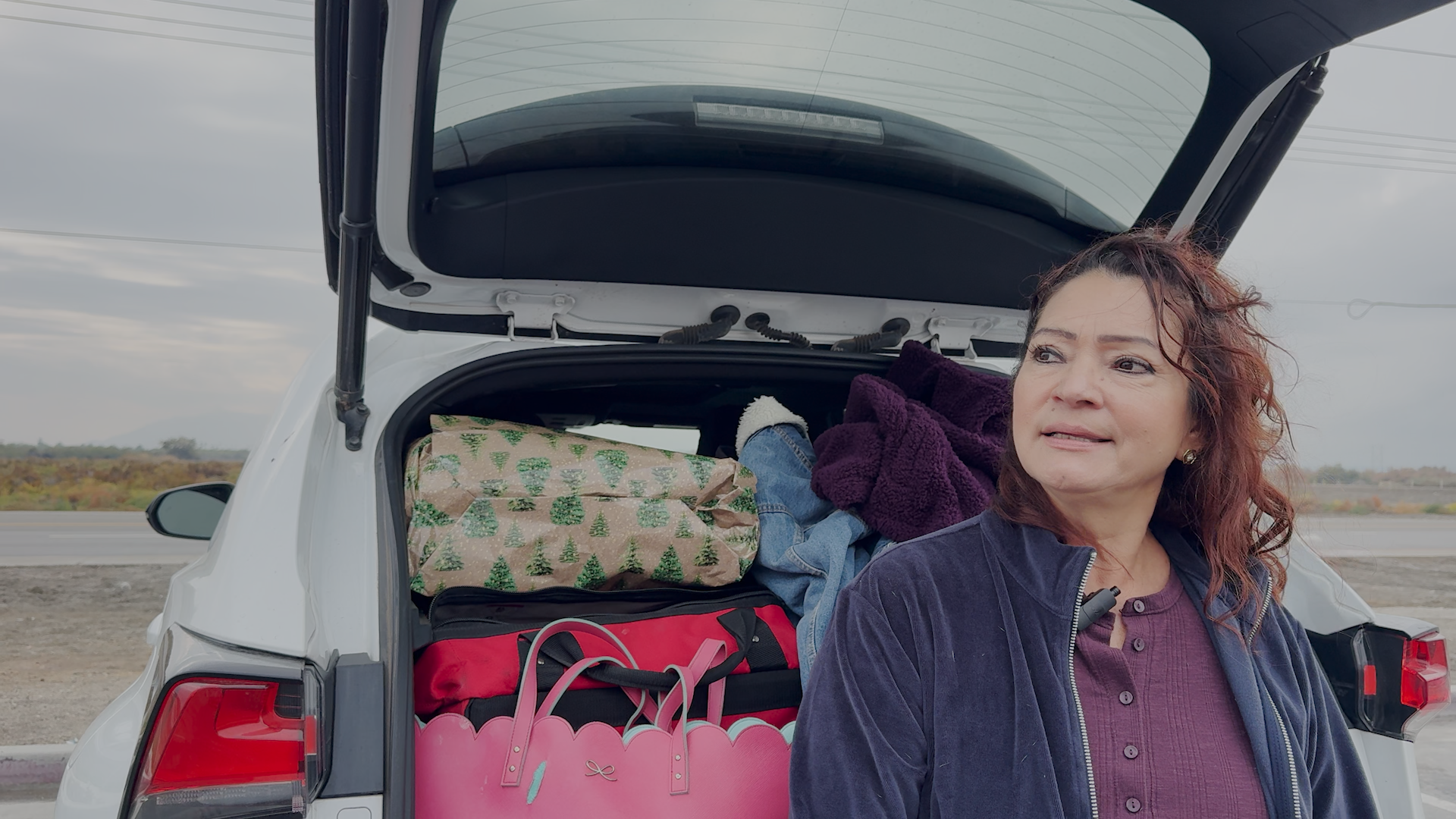 Seguridad en carretera: Consejos para viajes navideños en California