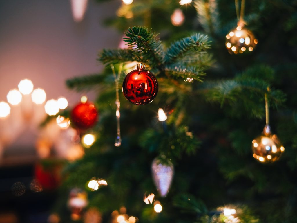 Reciclaje de Árboles de Navidad en Denver: ¡Participa en TreeCycle 2025!