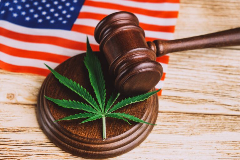 Corte Suprema Examina Derechos Constitucionales: Posesión de Armas por Consumidores de Marihuana en el Banquillo