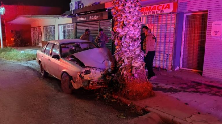 Accidente Automovilístico en Torreón: Menores de Edad Estrellan Auto Contra Palma y Sufren Fracturas