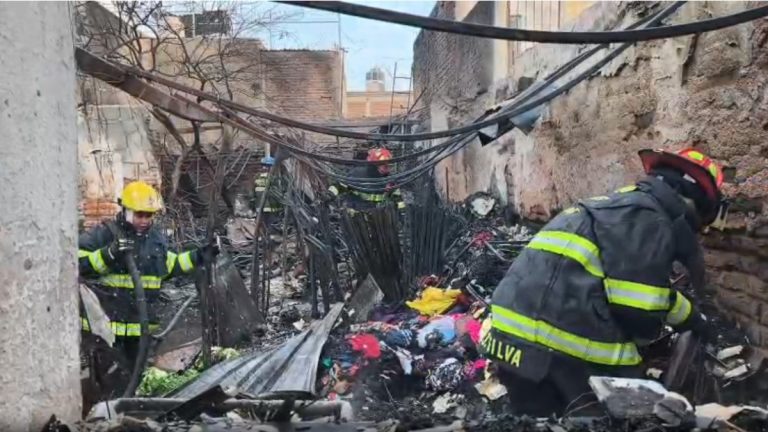 Incendio Devastador en Tonalá; Tres Perritos Pierden la Vida