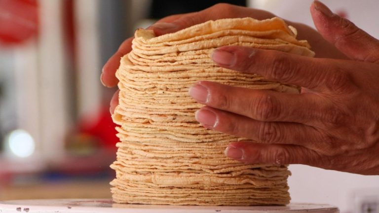 Precios de la Tortilla y Gasolina en Puebla: Actualización al Inicio del 2026