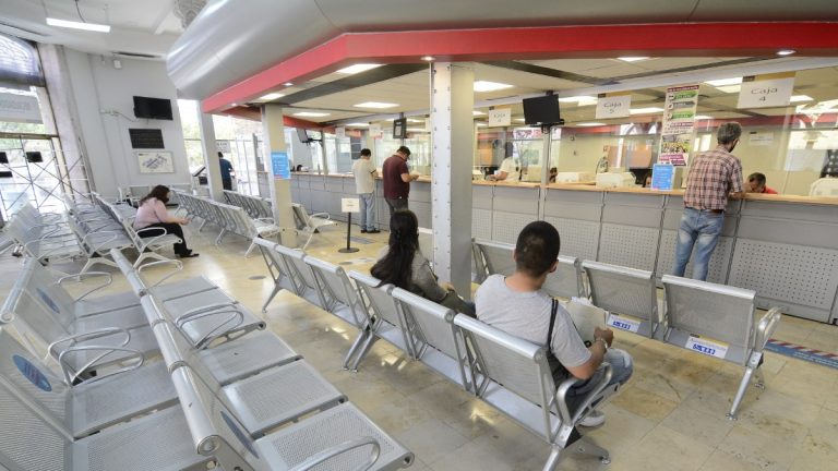 Caos en el Pago del Predial: Fallas en el Servicio de Recolección en Guadalajara