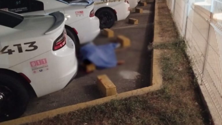 Primer asesinato de un elemento de la Guardia Nacional en 2026: Hallazgo de Dalila en Acapulco