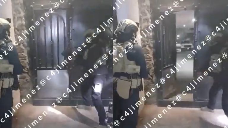 Perritos Nacen Durante Operativo en Xochimilco: Descubren Armamento y Drogas del Cártel de Sinaloa