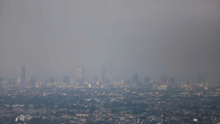 Doble Hoy No Circula Activo este Viernes 9 de Enero para Combatir la Contaminación