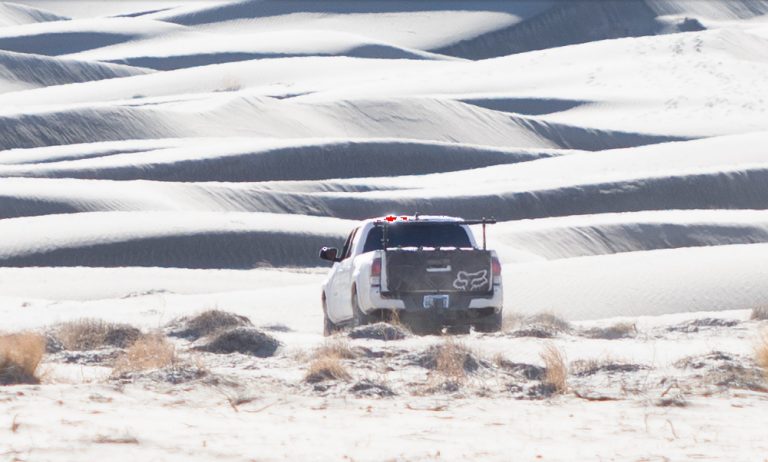Vandalismo Ecológico en Death Valley: 74 Plantas Raras Destruidas por Conductor Ilegal