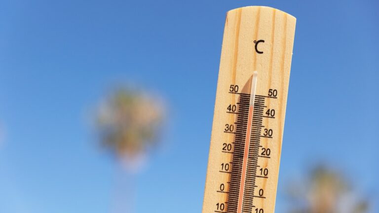 Ola de Calor en México: Temperaturas de Hasta 45° Afectan Diversos Estados