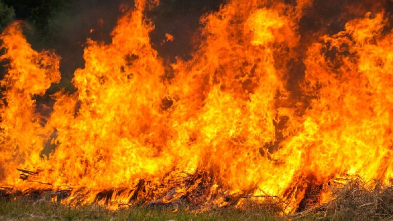 Emergencia en Querétaro: Más de 200 Incendios Desatan Alarmas en 2026
