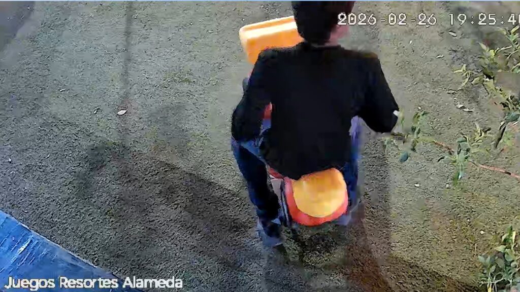 Detención de Joven por Destruir Juego Infantil en la Alameda de Torreón