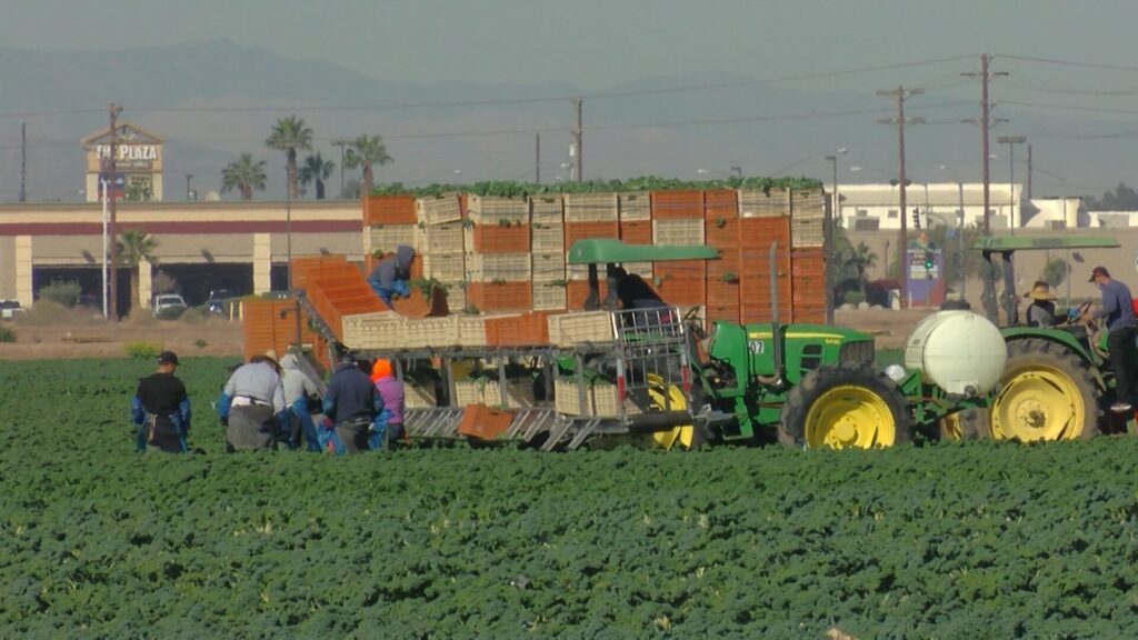 California y la Costa Central Celebran el Primer Día de los Trabajadores del Campo