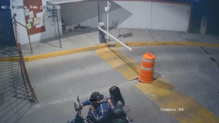 Descubren el cuerpo de Ana Karen, joven de 19 años desaparecida en Metepec tras viaje por aplicación