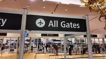 Cierre Parcial del Gobierno Causa Retrasos en Aeropuertos de EE.UU.