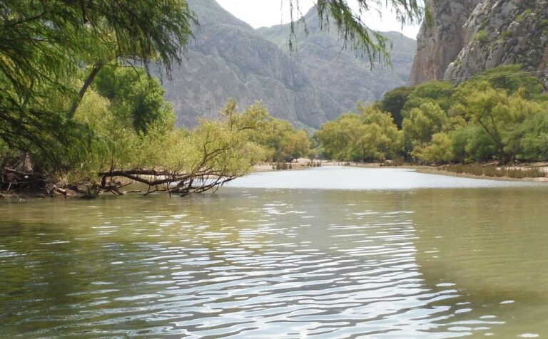 Fondo de Agua de La Laguna: Estrategias para Proteger la Cuenca del Nazas