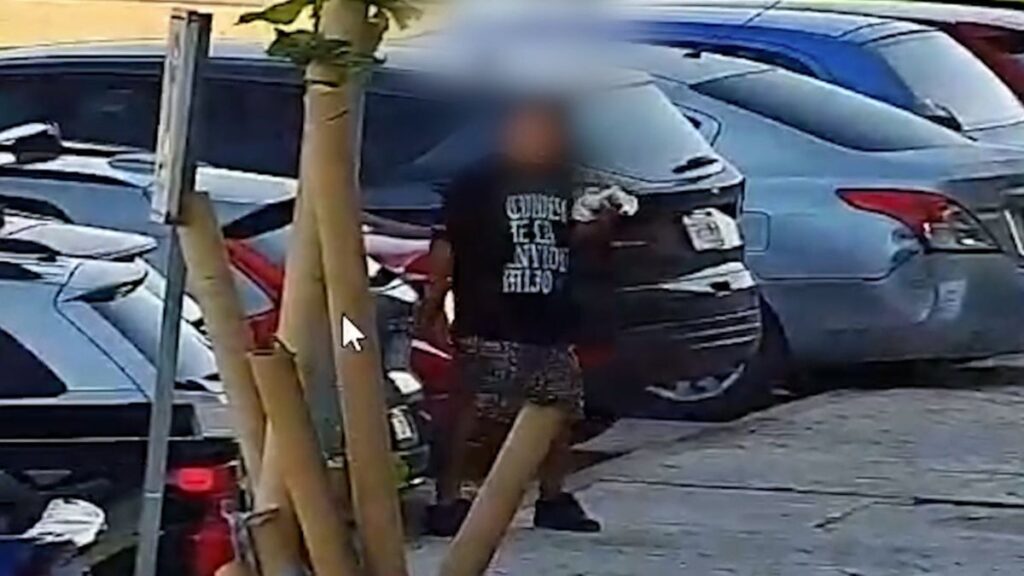 Captura de Asaltante en Torreón Gracias a Cámaras del C2