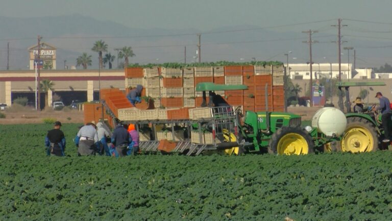 California ofrecerá productos menstruales gratuitos a trabajadoras agrícolas desde 2027