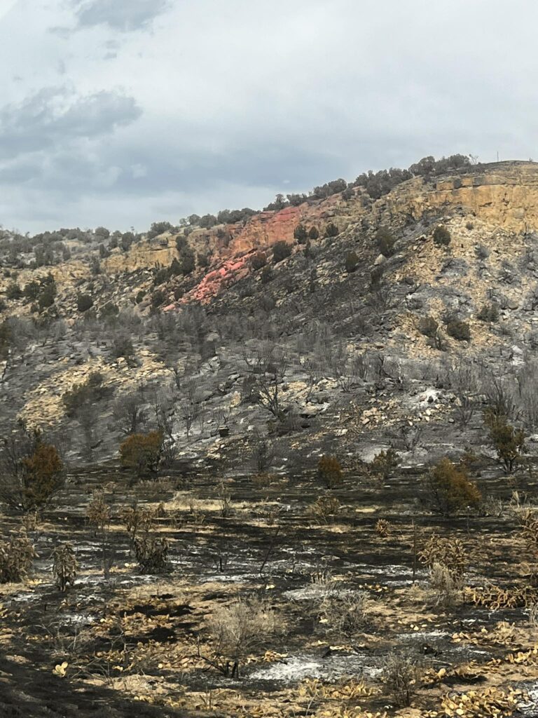 Reapertura de la Highway 115 tras incendio 24 Fire: Avance significativo en Colorado Springs