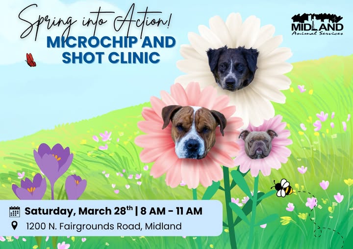 Midland Ofrece Vacunación Gratuita para Mascotas: Reserva Tu Lugar