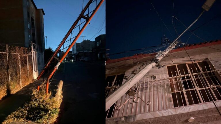 Impactantes vientos en León: Más de 30 árboles caídos en la tormenta