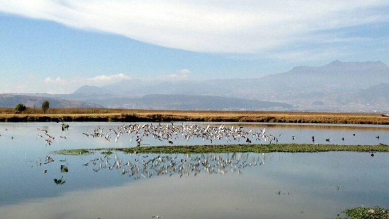 Saneamiento del Río Santiago: Un Reto en Proceso para Conagua
