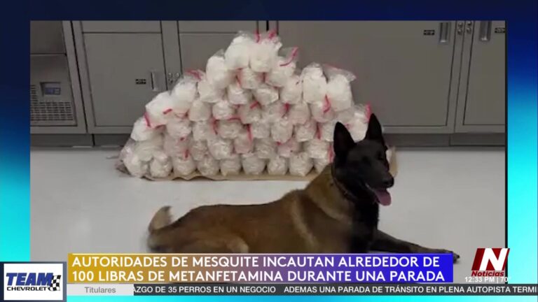 Impactante Incautación de Metanfetamina en Mesquite: Un Golpe al Narcotráfico