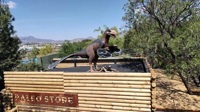 Descubre las Nuevas Áreas del Museo del Desierto en Saltillo tras Inversión Millonaria