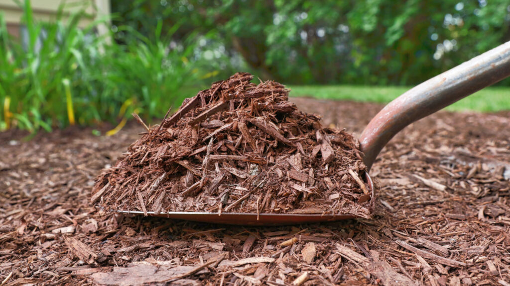 Denver Ofrece Mulch y Compost Gratis para Fomentar la Jardinería Sostenible