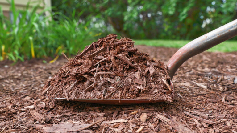 Denver Ofrece Mulch y Compost Gratis para Fomentar la Jardinería Sostenible